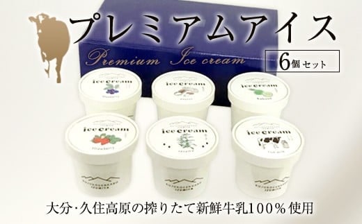 プレミアムアイスクリーム 6個入りセット(120ml×6個)