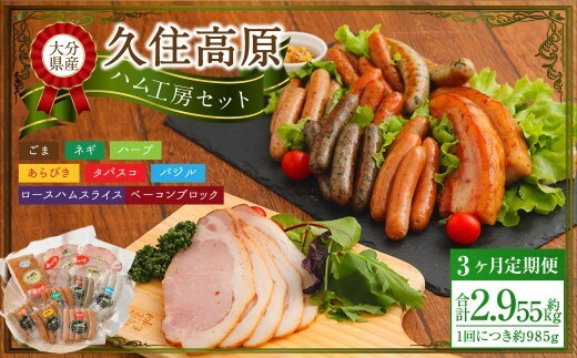 【3ヶ月定期便】 久住高原ハム工房セット