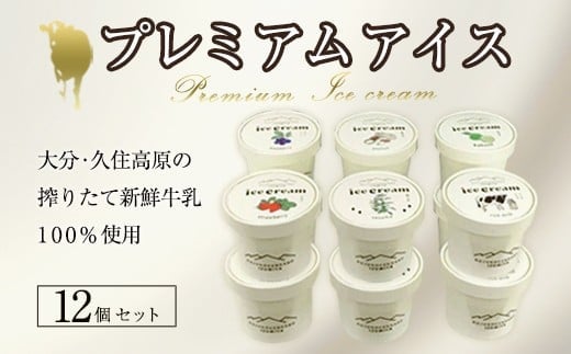 プレミアムアイスクリーム 12個入りセット(120ml×12個)