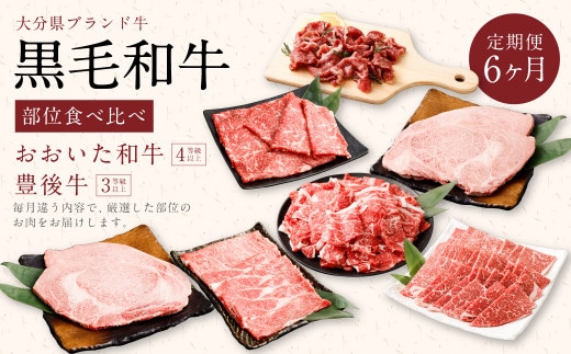【6ヶ月定期便】黒毛和牛 おおいた和牛&豊後牛