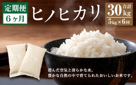 【6ヶ月定期便】 大分県産 ヒノヒカリ 5kg 計30kg 【2025年11月上旬発送開始】