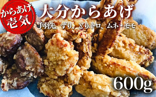 0B1-119【からあげ壱気】 大分からあげ 600g （モモ、とりトロ、ムネ、ずり、手羽先） 唐揚げ から揚げ からあげ 揚げ物 鶏肉