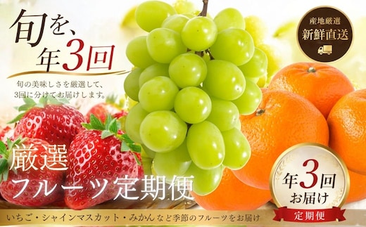 【数量限定】旬の特選フルーツ定期便 (シャインマスカット・イチゴ・みかん) 全3回 | 果物 豊後高田市
