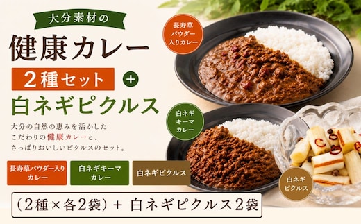 大分素材の健康レトルトカレーと白ネギピクルスセット｜レトルトカレーセット 国産 黒毛和牛 ビーフ キーマ 豊後高田市 レトルトカレー