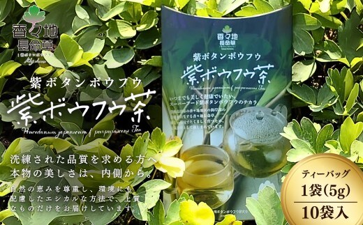 【スピード発送】 香々地長命草紫ボウフウ茶（5g×10袋入）| 香々地ベジファーム 豊後高田市 お茶 長命草 お通じ改善 ボタンボウフウ 健康習慣 ふるさと納税 長命草 個包装 美容 健康 粉末 健康維持 野菜不足 食物繊維 ビタミン 鉄 135965bt3