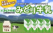 みどり牛乳 1000ml×12本 常温保存可能品 | 常温 牛乳 長期保存 ロングライフ商品 九州 大分県 豊後高田市 1l 1L 牛乳 ぎゅうにゅう ミルク LL 牛乳