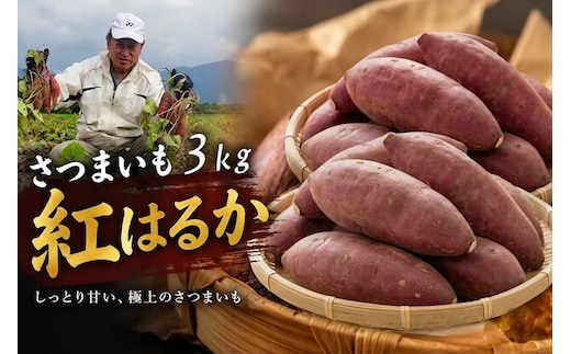 さつまいも紅はるか 3kg | さつまいも紅はるか 豊後高田市