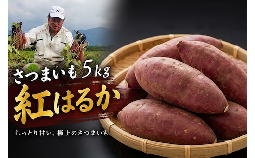 さつまいも 紅はるか 5kg | さつまいも 紅はるか 豊後高田市