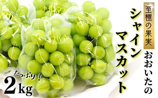 D3-05 至極の果実 おおいたのシャインマスカット2kg【先行予約】