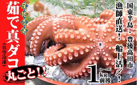 C4-12 船上活締め！！ゆで真ダコ丸ごと（1～4匹）