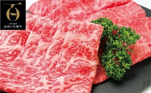 G-02 ロース 2種 すき焼き用 （合計600g） すき焼き ロース肉 黒毛和牛 和牛 国産 九州 牛肉 すき焼き