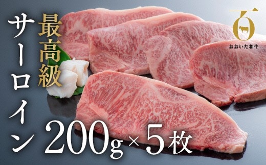 J4-02 サーロインステーキ（200g×5枚）