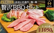 【年内発送】【スピード発送】 焼き肉 セット （合計1050g） 豚バラ肉 鶏肉 黒毛和牛 おおいた和牛 国産 九州 焼肉 バーベキュー 肉 E-49