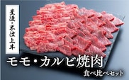 D-20 焼肉 食べ比べ （500g） 豊後・米仕上牛 焼き肉 モモ肉 カルビ 牛肉 バーベキュー 国産 牛肉 和牛 九州