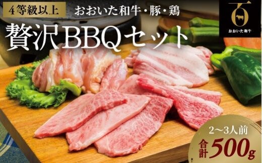 0C1-100【スピード発送】 焼肉セット（計500g） 黒毛和牛 豚バラ 鶏肉 おおいた和牛 国産 九州 牛肉 豚肉 鶏肉 バーベキュー 焼き肉