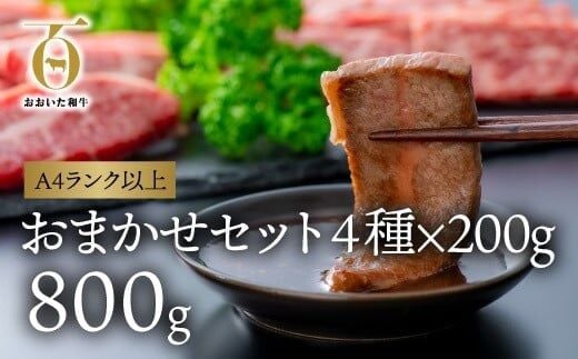 【年内配送】【スピード発送】 焼き肉 カルビ おまかせ部位3種 (各200g計800g) 片桐さんのおまかせ焼肉セット おおいた和牛 黒毛和牛 焼肉 セット 九州 和牛 【A4~A5等級】F4-01