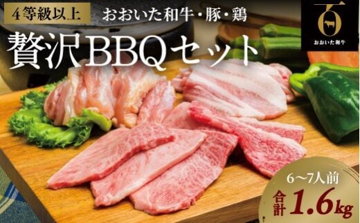 【年内発送】【スピード発送】 焼き肉 セット （合計1.6kg） 豚バラ肉 鶏肉 黒毛和牛 おおいた和牛 国産 九州 焼肉 バーベキュー 豚バラ 焼肉 アウトドア キャンプ G-14