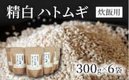 【年内発送】【スピード発送】 精白 ハトムギ（6袋） 雑穀 スーパーフード 美容 健康 ハトムギ はとむぎ ひきわり ハトムギ 0C1-106A
