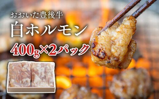 おおいた豊後牛 白ホルモン (400g×2P) ホルモン 焼き肉 牛 焼肉 牛肉 ホルモン アウトドア 焼き肉 バーベキュー 0C1-128