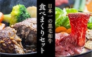 E-54 豊後牛ハンバーグ＆大分県産黒毛和牛すきやき肉（500g）セット