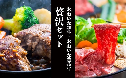 F-13 すき焼き (500g) ハンバーグ (9個) 贅沢セット モモ ロース すき焼き肉 おおいた和牛 黒毛和牛 惣菜 夕飯 モモ ロース 和牛 国産 牛肉 すき焼き ハンバーグ