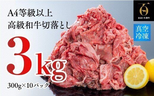 牛肉 切り落とし （300g×10P）計3kg片桐さんの おおいた和牛 黒毛和牛 九州 和牛 国産 牛肉 切落し【A4~A５等級】H-12