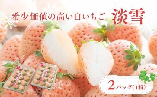 白いちご 「淡雪」 2パック入×1箱 【先行予約】 フルーツ くだもの いちご 果物 完熟 イチゴ 苺 希少 いちご おすすめ デザート 期間限定 大分県 豊後高田市 国産 箱入り ストロベリー 先行受付 いちご 希少いちご 送料無料 [C-01]