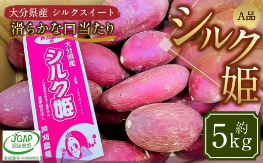 004-1304x1 シルク姫 約5kg(A品) さつまいも いも イモ 芋 シルクスイート 国産 常温 大分県 豊後大野市【2026年9月上旬-2027年5月下旬発送予定】