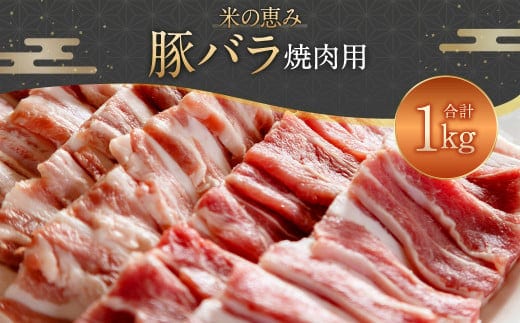 093-1021 豚バラ焼肉用 1kg