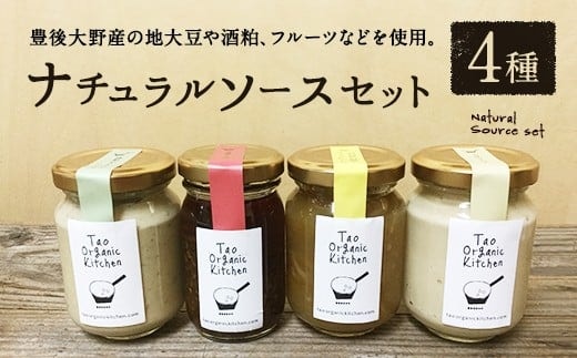019-822 ナチュラル ソース セット 4種 計370ml 詰合せ ( フムス / ラー油 / タルタルソース / ジャム )