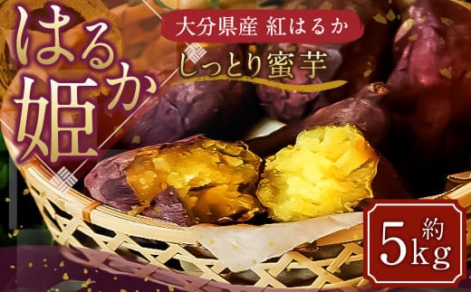 004-1137x1 【先行予約】 はるか姫 約5kg さつまいも サツマイモ 芋 いも 紅はるか べにはるか 大分県 豊後大野市 【2025年11月下旬~2026年5月下旬発送予定】