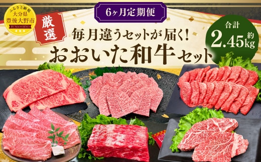 173-1285 【6ヶ月定期便】 毎月違うセットが届く!おおいた和牛 セット 合計約2.45kg 1回あたり約400g~約450g 牛肉 食べ比べ ソース付き サーロイン 赤身 ミスジ ブロック ロース ステーキ ヒレ 焼肉 スライス BBQ バーベキュー お取り寄せ グルメ 大分県産