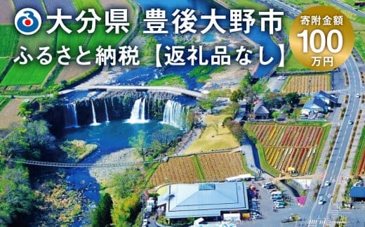 140-661 豊後大野市への寄付(返礼品はありません)1口 100万円