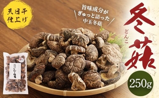 015-295x2 豊後大野市産 天日干仕上 中玉 冬菇 どんこ 250g 干ししいたけ 椎茸
