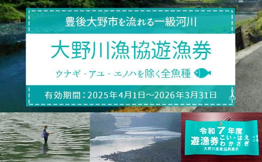 024-1062x1 大野川漁協遊漁券 ウナギ・アユ・エノハを除く全魚種