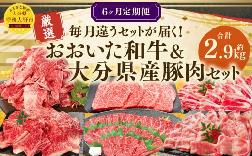 173-1286 【6ヶ月定期便】 毎月違うセットが届く!おおいた和牛&大分県産豚肉セット 合計約2.9kg 1回あたり約400g~約600g 牛肉 豚肉 おおいた和牛 食べ比べ セット ソース付き ロース 肩ロース 切落し バラ 豚バラ 赤身 ステーキ 焼肉 スライス BBQ バーベキュー お取り寄せ グルメ 大分県産