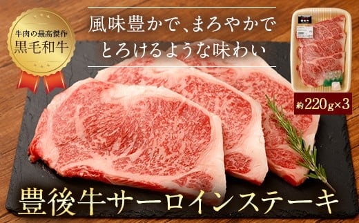 074-384 豊後牛 サーロイン ステーキ 合計660g 牛肉