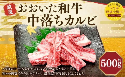 173-1178 おおいた和牛 中落ちカルビ(500g)和牛 カルビ 牛肉 冷凍 肉 焼肉 鉄板焼 BBQ バーベキュー お取り寄せ グルメ