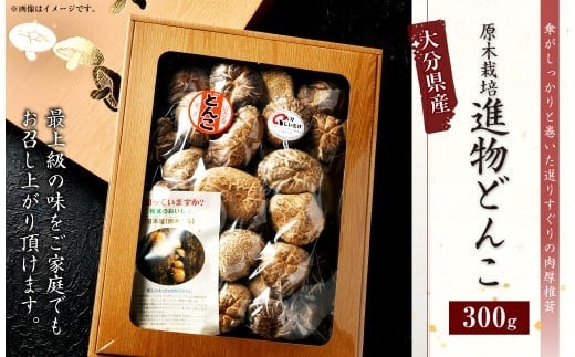 015-697x1 進物どんこ 300g 乾燥 椎茸 きのこ 茸