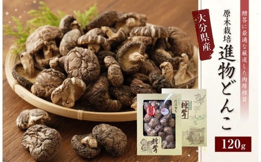 015-692x1 大分県産 椎茸 進物 どんこ 120g 乾燥椎茸 きのこ 茸