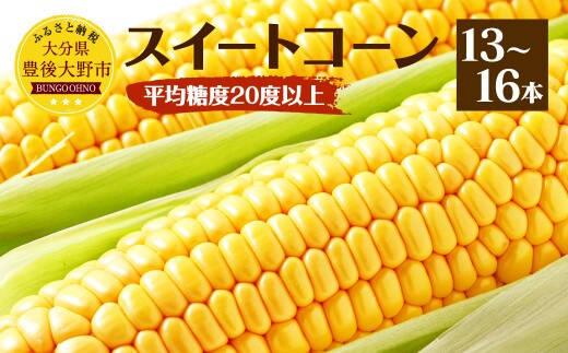 004-1052x2 【先行予約】 平均糖度20度以上 スイートコーン 約6kg前後 13本~16本 とうもろこし 【2026年6月下旬-7月下旬発送予定】