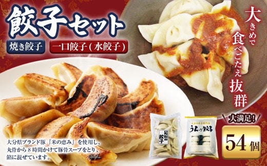 051-1169x1 焼き餃子と一口餃子(水餃子)「Aセット」合計54個 タレ付き 焼き餃子 一口餃子 水餃子 餃子 ぎょうざ ギョウザ 冷凍 おかず おつまみ 中華