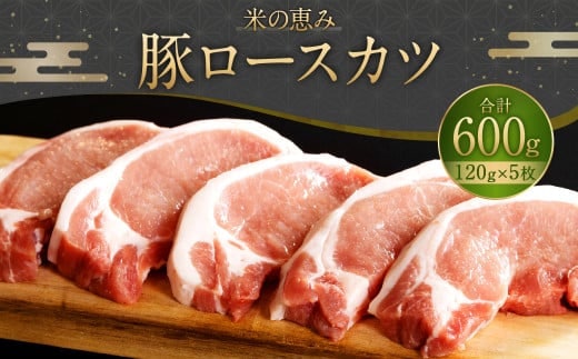 093-1019 豚ロースカツ 600g(120g×5枚)