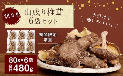 年内発送 015-1047x2 【期間限定増量】 訳あり 山成り 椎茸 480g(80g×6袋) 【2025年12月上旬から2026年1月下旬発送予定】