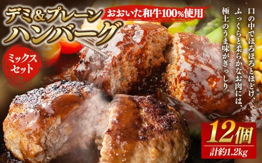 175-1212 【おおいた和牛 100%使用】デミ&プレーン ハンバーグ ミックス セット 12個 計約1.2kg 牛肉 肉 和牛 おかず 惣菜 冷凍 簡単調理 デミグラス