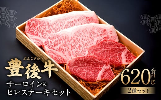 082-429 サーロイン 2枚 ヒレ 2枚 ステーキ 計4枚 620g 牛肉