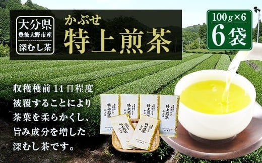014-186 特上煎茶 かぶせ 100g×6袋 600g