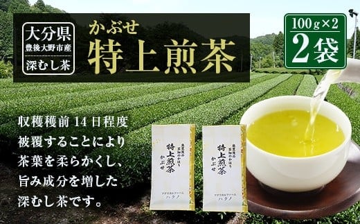 014-184 特上煎茶 かぶせ 100g×2袋 200g