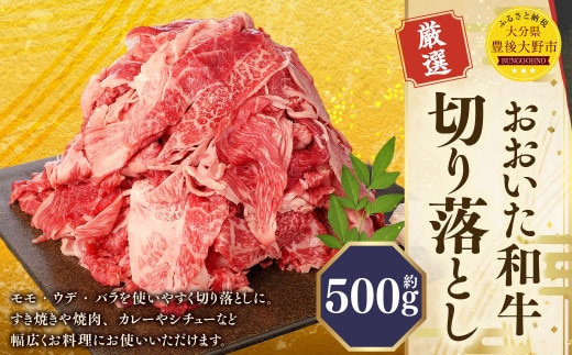 173-1176 おおいた和牛 切り落とし(500g)厳選 国産 和牛 肉 牛肉 冷凍 肉じゃが 牛丼 焼肉 カレー シチュー 炒め物