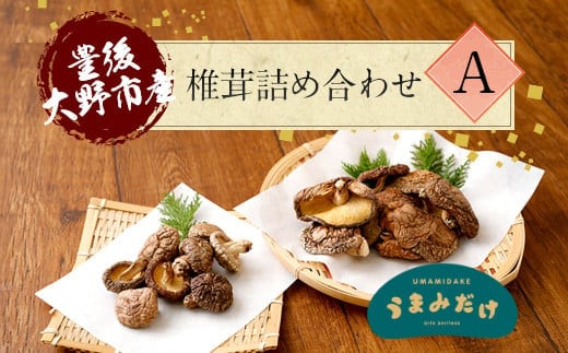 015-1221x1 豊後大野市産 椎茸 詰め合わせA 6袋セット うまみだけ